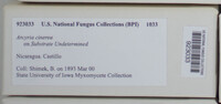 Image Associated With the Occurence